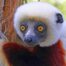 Madagascar