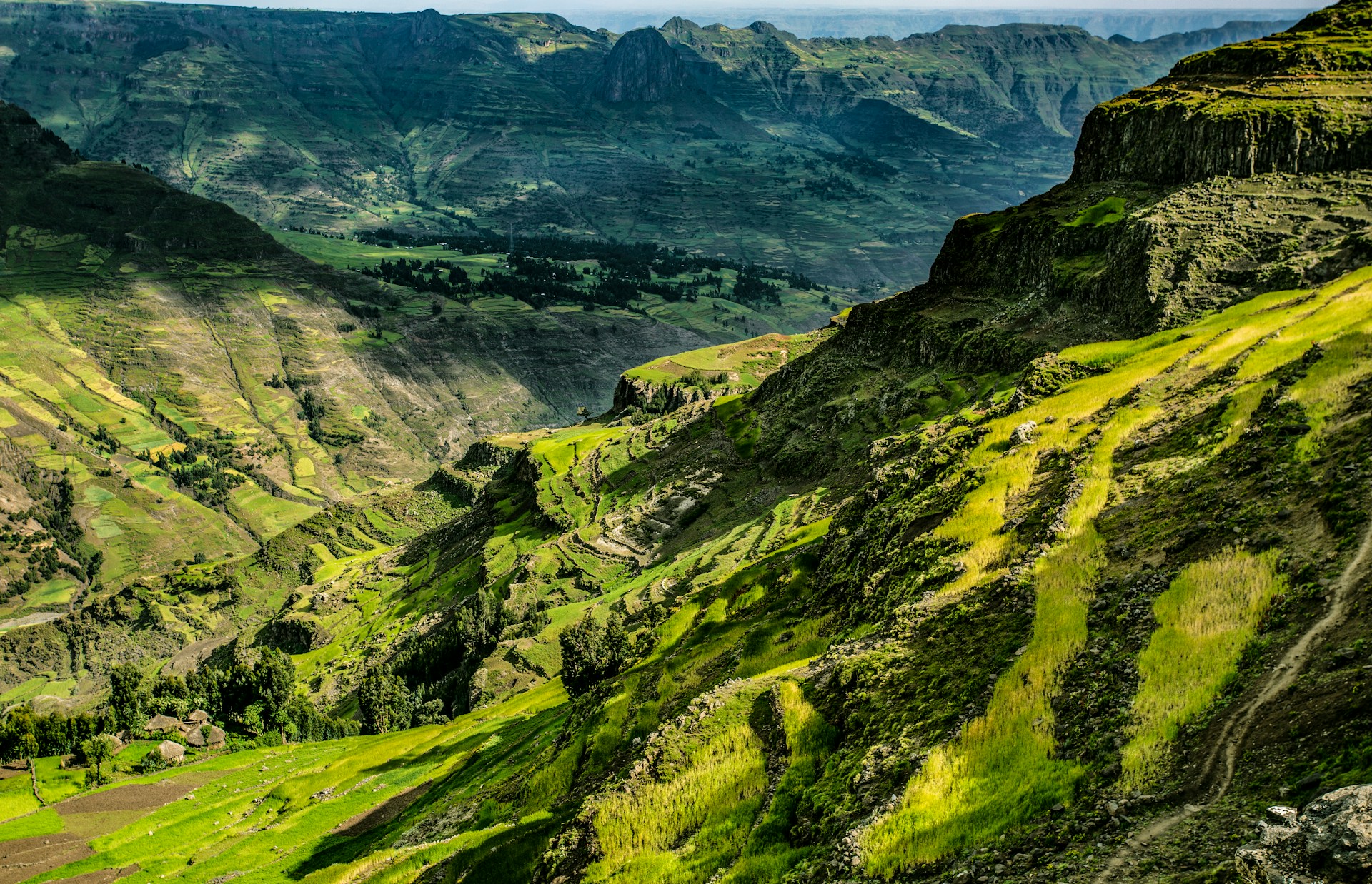 Ethiopian landscape