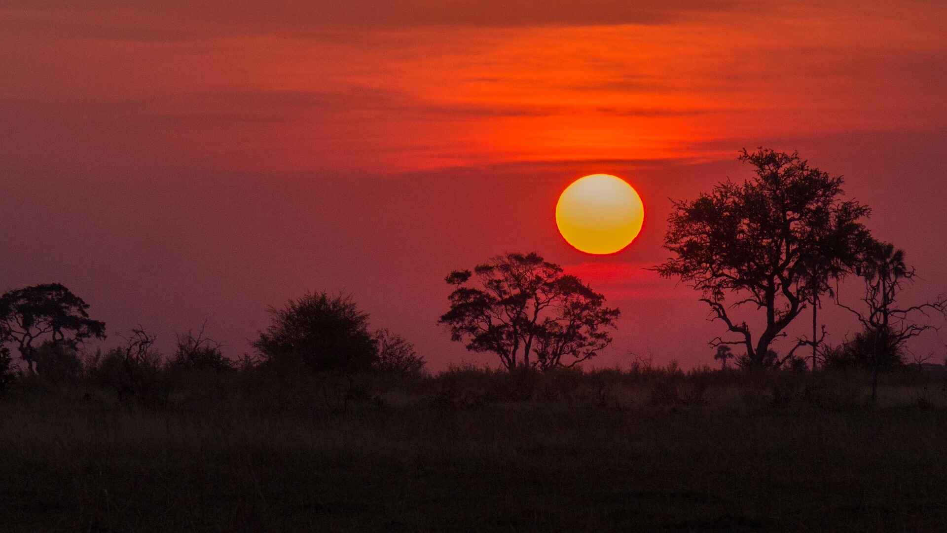 Botswana sunset