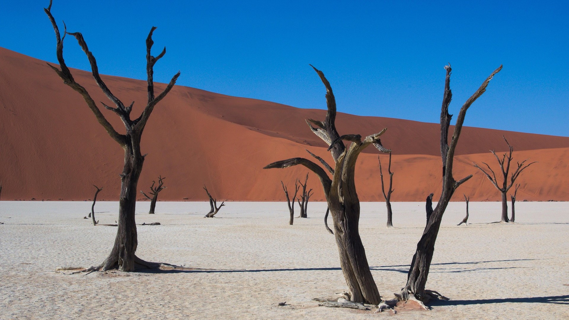 deadvlei-namibia
