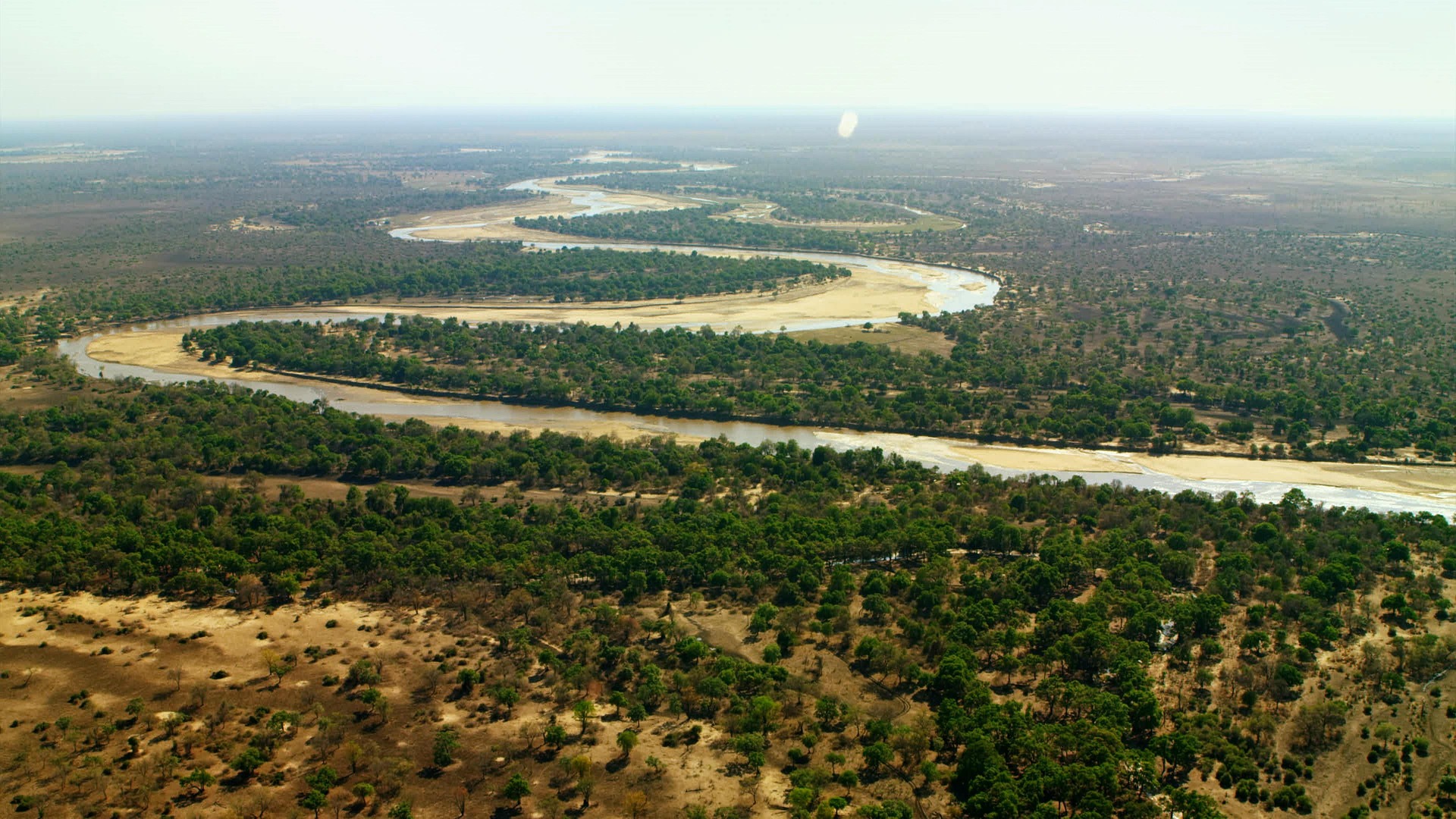 Zambezi river