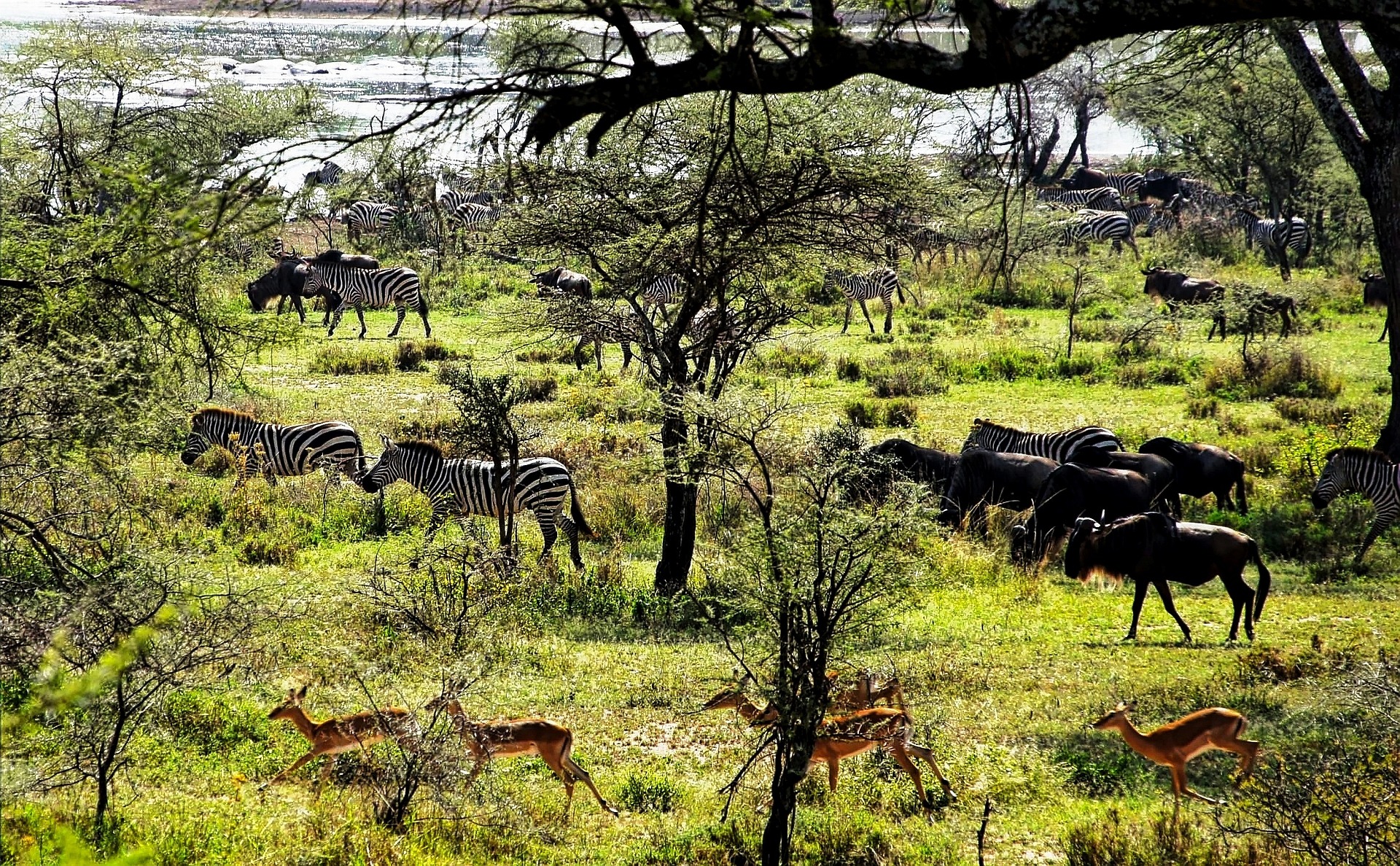 Tanzania